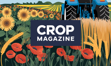 CropMagazine.com - Creative brandable domain for sale
